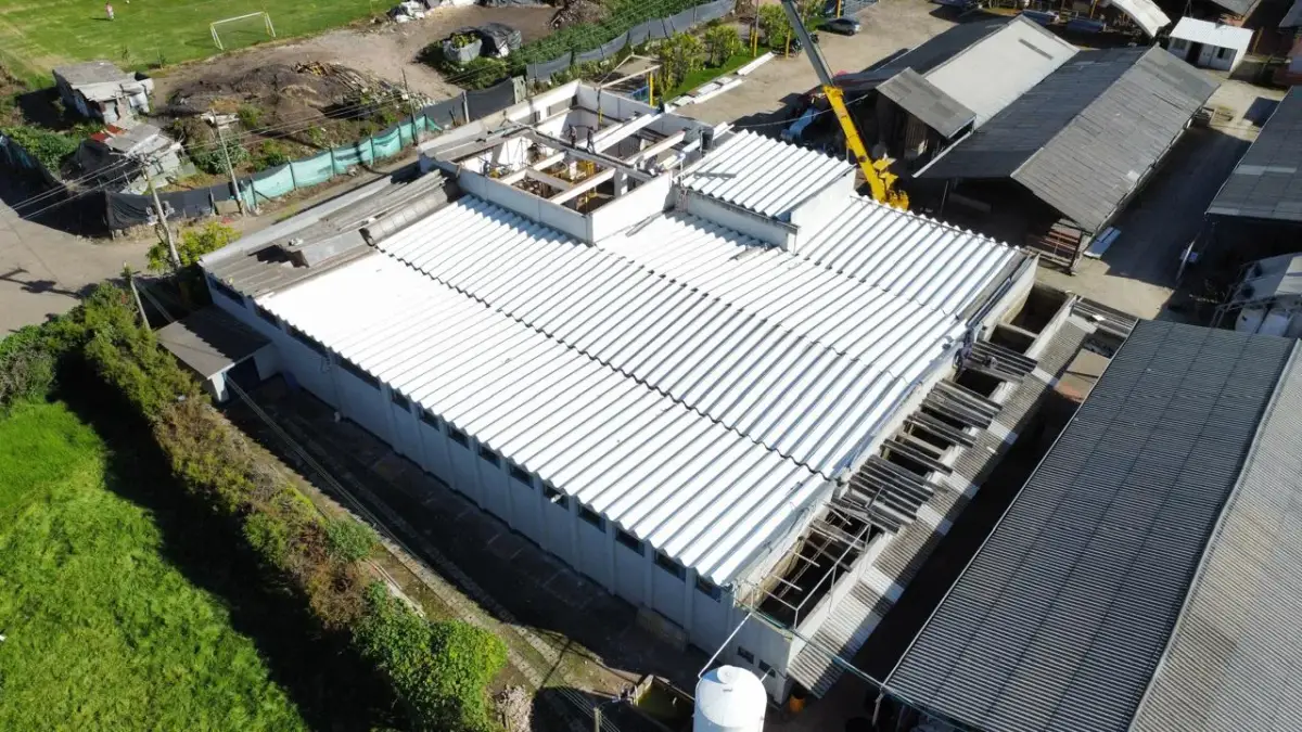 Woodpecker en Bogotá DC